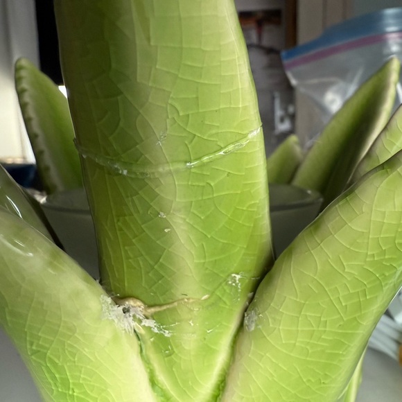 Scentsy “Aloe Vera” warmer - Picture 8 of 15